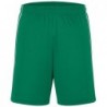 Basic Team Shorts Spodenki drużynowe JN387 -  green/white